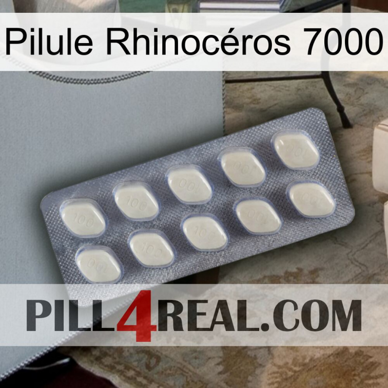 Pilule Rhinocéros 7000 08